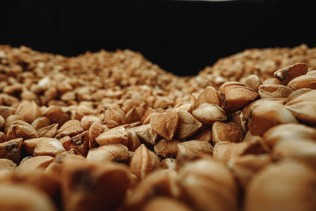 Macro photo of handful dry buckwheat grainの写真素材