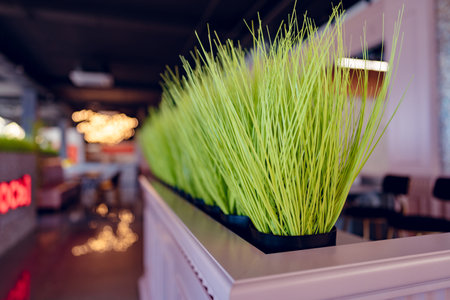 Green plastic grass in pink planters in a restaurant