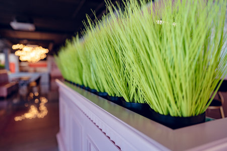 Fake grass in long planter in a mallの写真素材