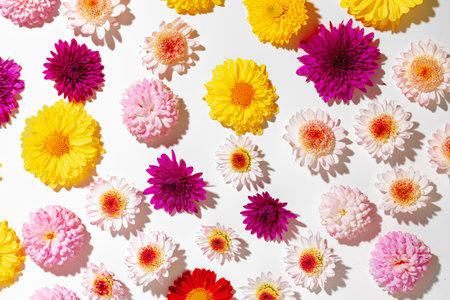 Beautiful background made of bright flower budsの写真素材