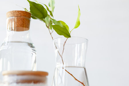 Close up of a glass bottleneck with liquid