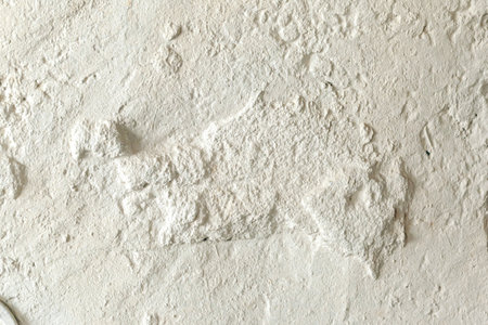 Rough old white wall with cracks for a backgroundの写真素材