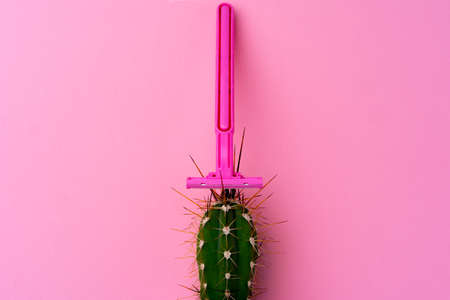 Spiny cactus and disposable shaver on pink backgroundの写真素材