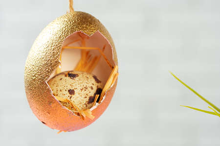 Colored Easter eggs hanging on dry branches. Easter concept