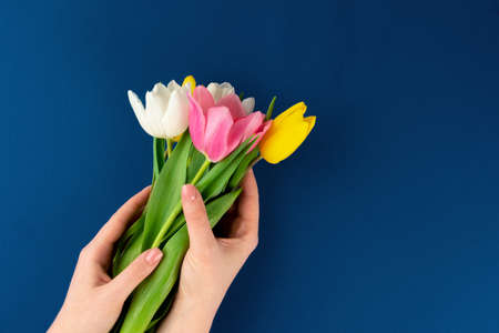 Woman hands with manicure holding colorful tulipsの写真素材