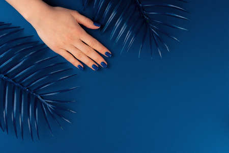 Female hands with manicure of classic blue color on blue backgroundの写真素材
