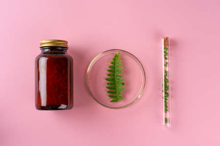Herbs and Herbal dietary supplements top view on pink background