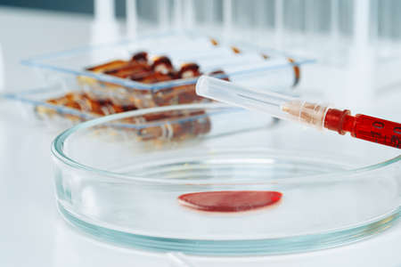 Glass dropper and Petri dish on laboratory table