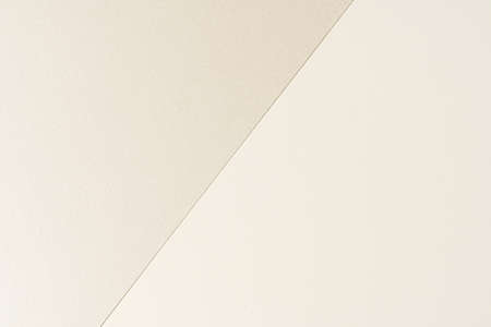 Paper samples for business and arts close up