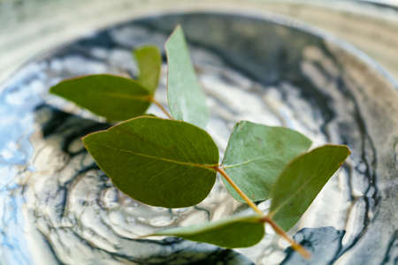 Elegant dinner table served for banquet eventの写真素材