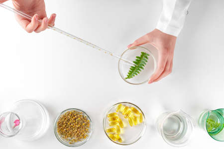 Making herbal dietary supplement in lab with plant leaves. Health and beauty concept