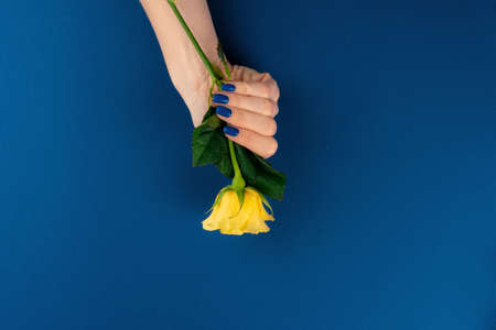 Beautiful woman hands with manicure holding rosesの写真素材