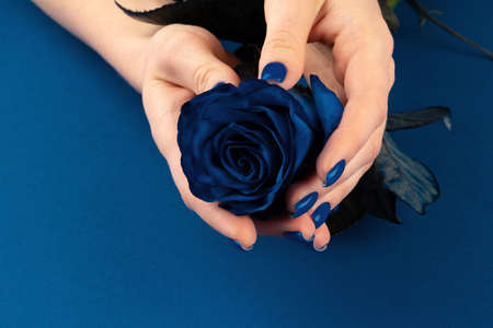 Beautiful woman hands with manicure holding rosesの写真素材