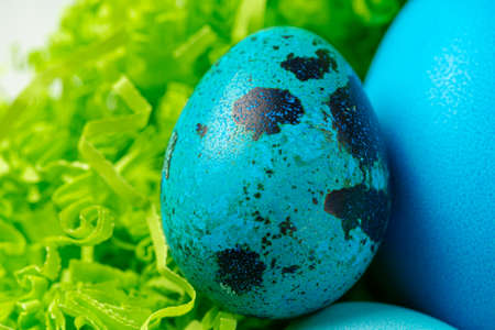 Blue painted eggs in a nest for Easter
