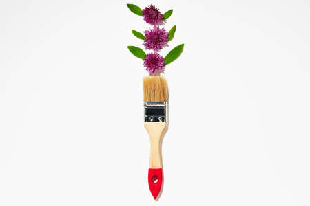 Paint brush and flower buds on white backgroundの写真素材