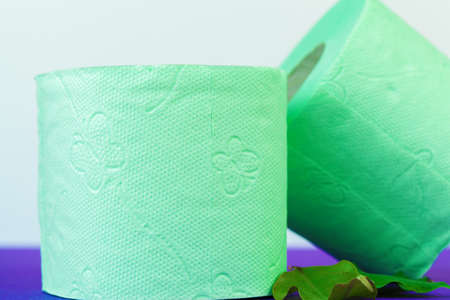 Toiletries. Rolls of green toilet paper on purple backgroundの写真素材