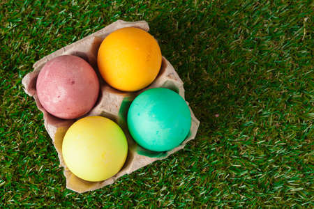 Easter eggs on green grassの写真素材