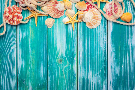 Different sea shells on color wooden background