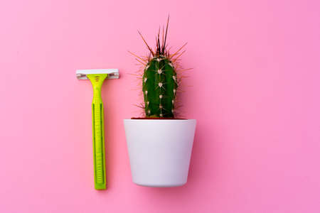Spiny cactus and disposable shaver on pink backgroundの写真素材