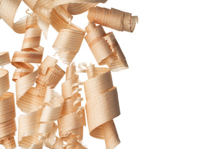 Wood shavings curls isolated on white backgroundの写真素材