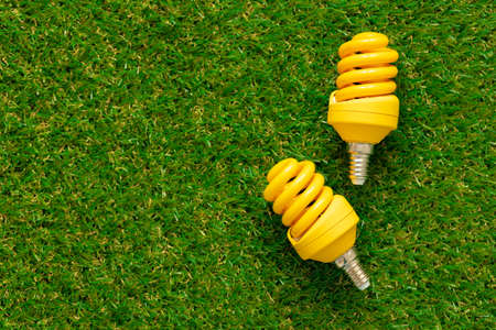 Energy efficient light bulb lying on grass