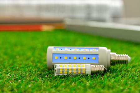Energy efficient light bulb lying on grass