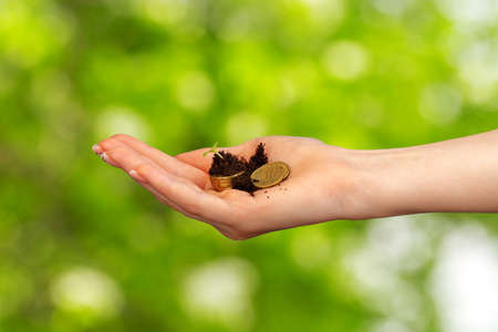 Seedlings grown on a coins stack in female palmの写真素材