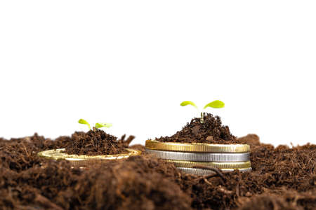 Coins stack of money and growing plant, financial conceptの写真素材
