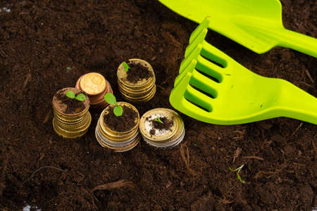Coins stack of money and growing plant, financial concept