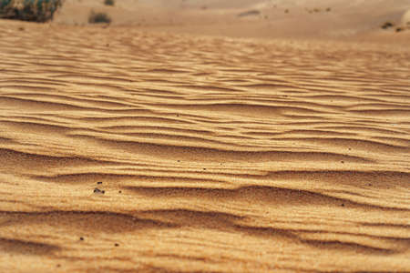 Wavy sand texture in Dubai desert close up