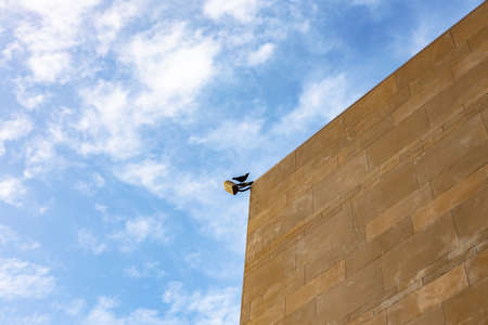 Bird sitting on outdoor exterior lantern on brown stone wallの写真素材