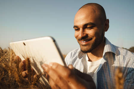 Man using digital tablet in wheat field at sunsetの写真素材