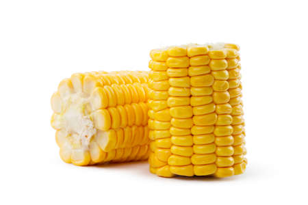 Corn on a white backgroundの写真素材