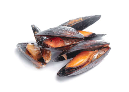 Top view of cooked seafood isolated on white background