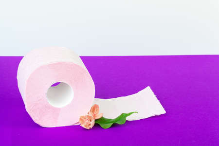 toilet paper rolls with natural flowers close upの写真素材