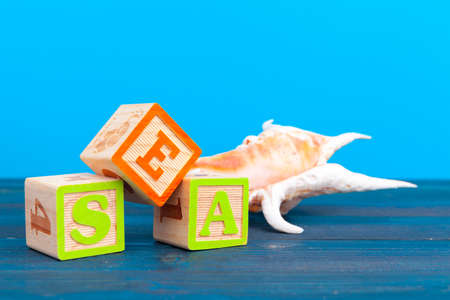 cube wooden block with alphabet building the word seaの写真素材
