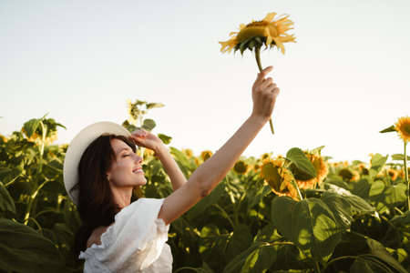 Attractive young woman model posing in field of sunflowersの写真素材