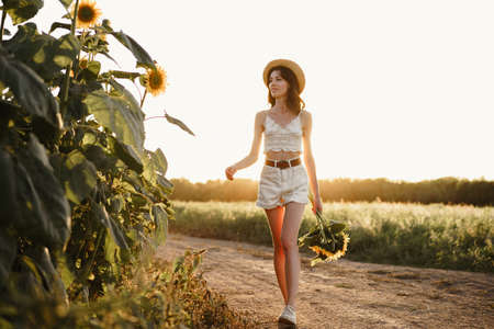 Young woman having a walk in sunflowers field in the morningの写真素材