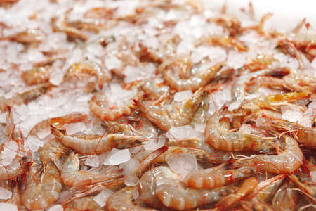 Fresh raw shrimps close up lying on ice in supermarketの写真素材
