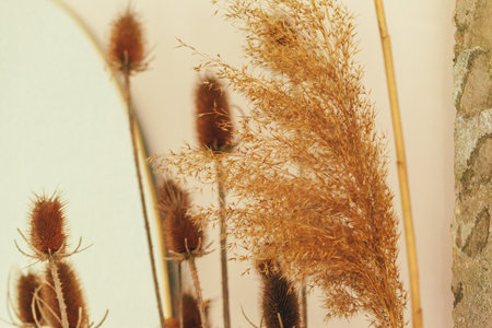 Dried autumn flowers bouquet at home close upの写真素材