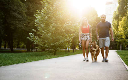 Young beautiful couple walking the dog in the summer parkの写真素材