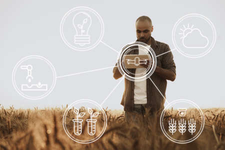 Young man using tablet in wheat field, agricultural conceptの写真素材
