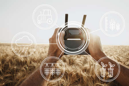 Man farmer standing in wheat field and controlling drone. Technologies in agriculture conceptの写真素材