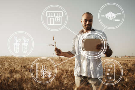Farmer standing with digital tablet in a wheat field using modern technologies in agricultureの写真素材