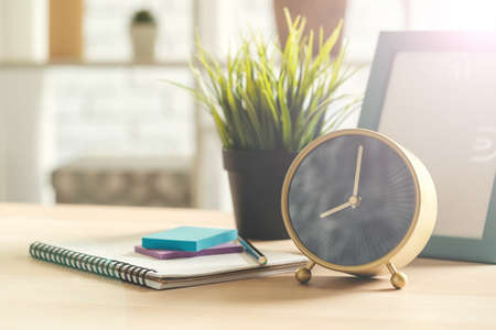 Old-fashioned alarm clock and house plant on wooden tableの写真素材