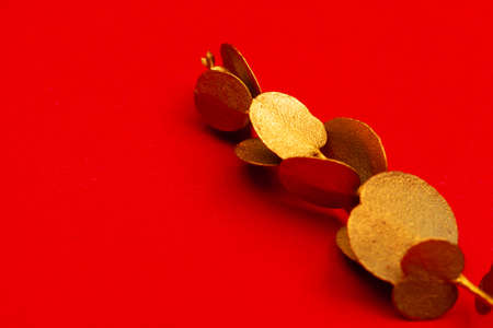 Christmas holiday decoration on bright red backgroundの写真素材