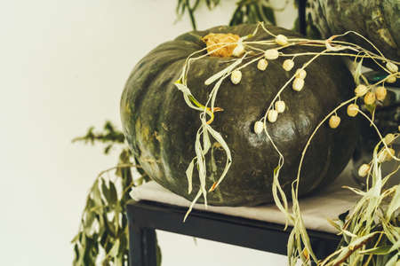 Beautiful autumn table decor with green pumpkinの写真素材
