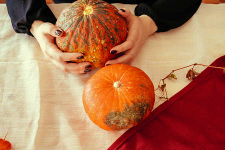 Cropped image of a woman holding a pumpkin in her handsの写真素材