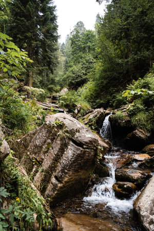 Mountain creek stream flowing through the autumn forestの写真素材