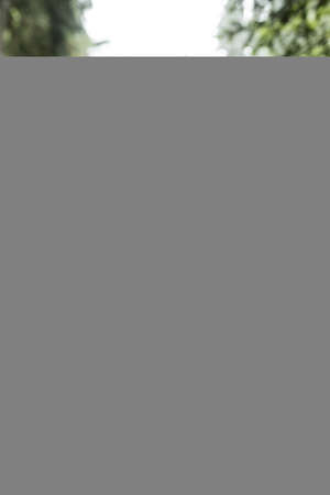 Dirty thick rope tied to a wooden fenceの写真素材